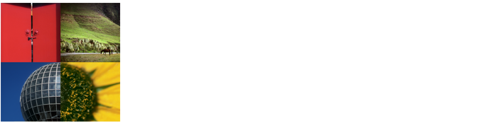 Alejandro Parada -Fotógrafo de Bodas y Fiestas.